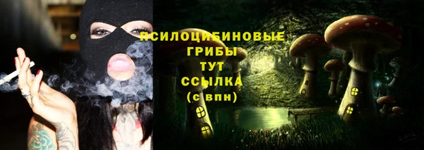 таблы Чегем