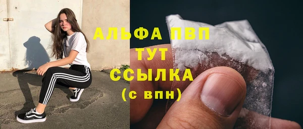стафф Покачи