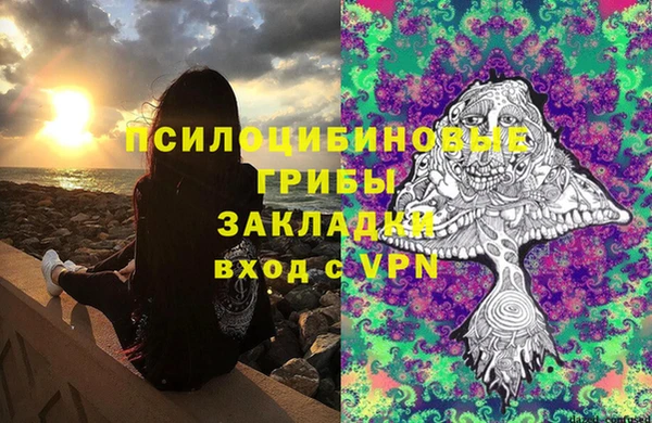 гидропоника Галич