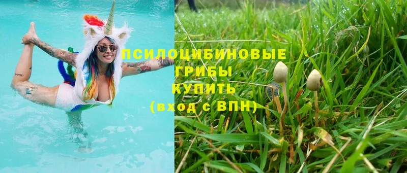 ссылка на мегу ТОР  Алагир  Псилоцибиновые грибы мицелий 